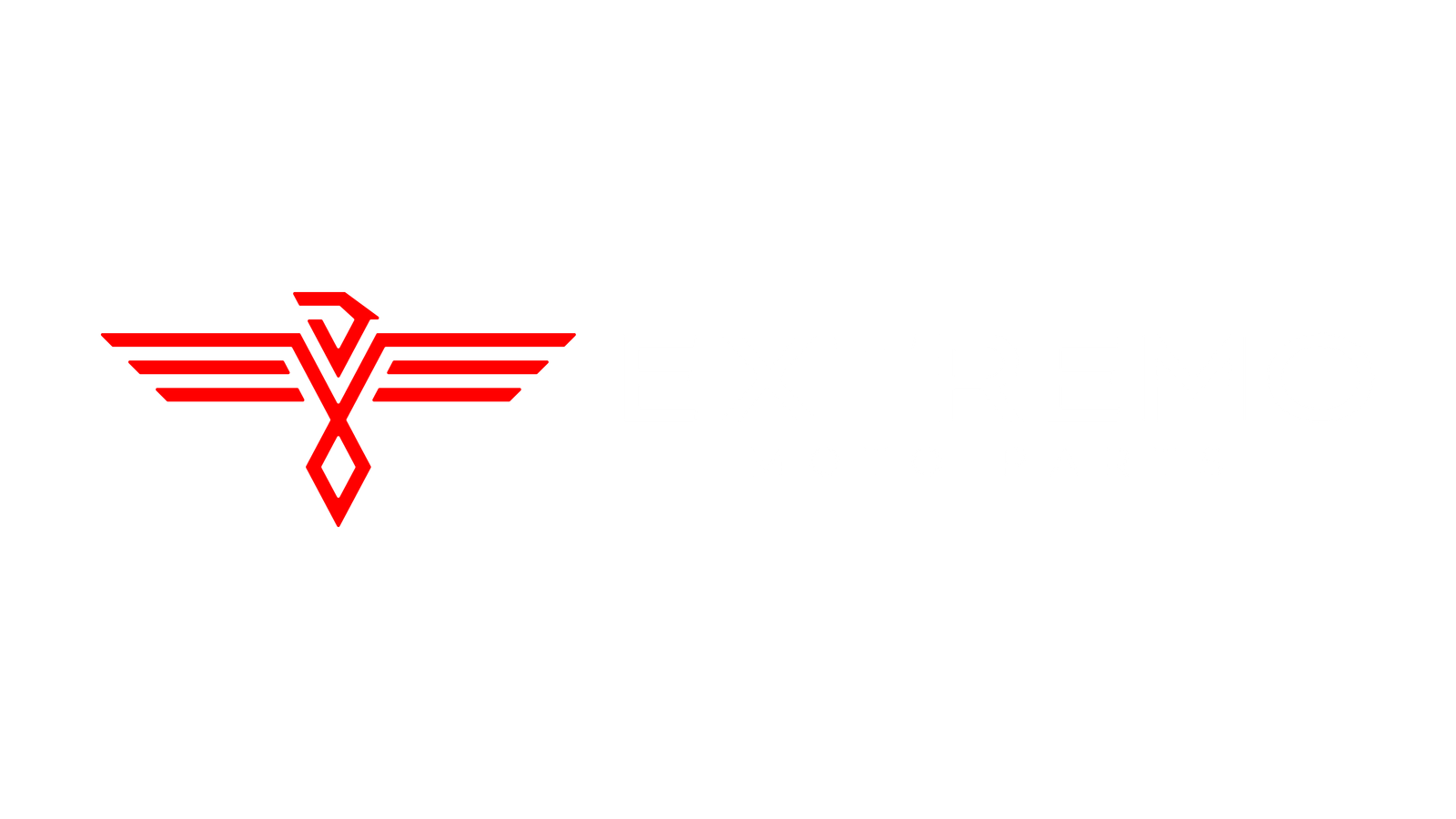 LOGO 1